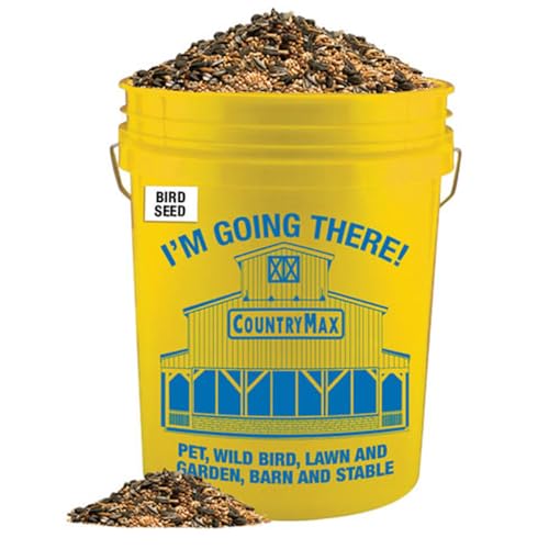 CountryMax Backyard Seeds Classic Seed & Berry Blend 15lbs Bucket - Premium Sunflower Cherry Flavor Blend for Outside Feeders, Bucket of Wild Bird Food