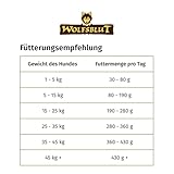 WOLFSBLUT – Wide Plain Adult | Trockenfutter mit natürlichen Zutaten und wertvollen Superfoods für ausgewachsene Hunde. Getreidefreies Alleinfutter ohne Zusatzstoffe im Beutel | 2kg Pferd