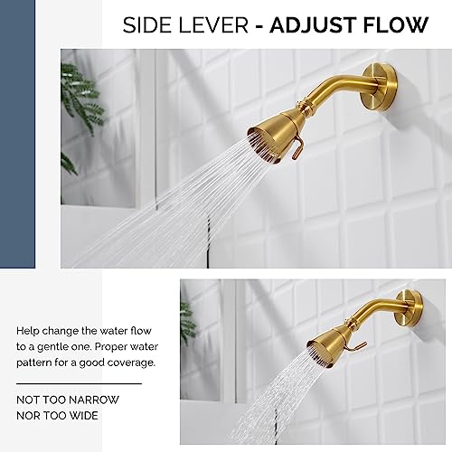 High Flow Shower Head Brushed Gold, Brass Shower Sprayer