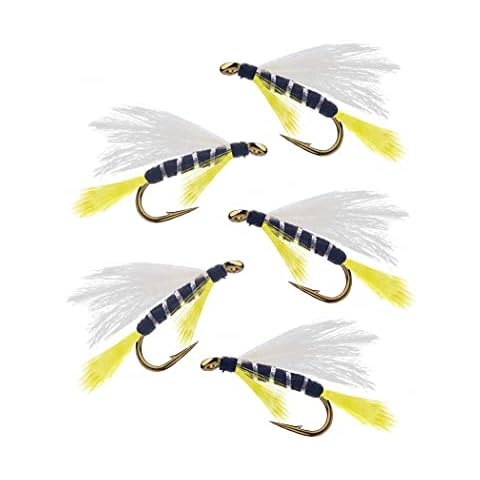 Qievcrme 10Pcs Wooly Bugger Fly Fishing Flies for Trout, Bass and Salmon-Streamer Assortment Wet Flies (Style B) Cover