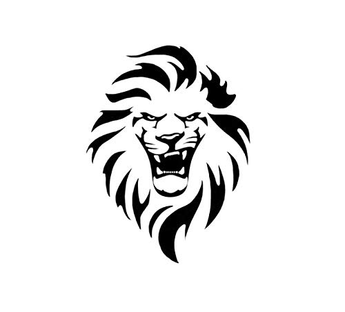 Miniatura 8 de Polvo para el cabello de melena de león voluminizador efecto mate en polvo para peinar el cabello