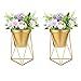 Nuptio Vaso Centrotavola Matrimonio da Tavolo, 2 Vasi Oro per Tavolo Pranzo, Composizioni Floreali Metallo Desktop Stand Feste Natale Decorazioni Casa Compleanno, Piccolo Vaso Fioriera All'aperto