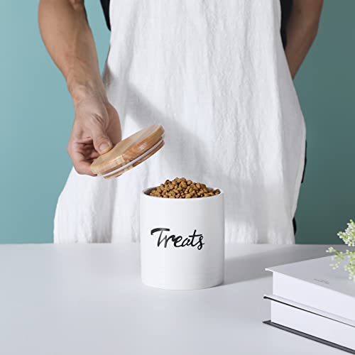 Leetoyi Cat Treat Container With Lid, Ceramic Dog Treat Jars 4.5-Inch 31Oz (White) #TOP3