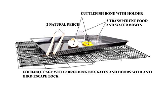 AVI-CRAVE-Bird-cage-for-BirdsParrotFinchesLove-Birds-with-2-Perch-StickCuttlefish-Bone-Holderwith-Cuttlefish-Bone2-gate-to-Install-breeding-BoxAnti-Bird-Escape-Lock-Black