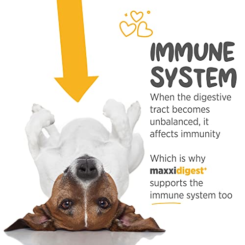 Maxxipaws Maxxidigest+ Probiotics, Prebiotics And Digestive Enzymes - Digestive And Immune Support Supplement For Dogs – 7 Oz #TOP3