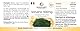Spirulina Tabletten - 500mg reines Spirulina Algenpulver pro Tablette - 100 Tabletten - hochdosiert - Spirulina Platensis - vegan | Warnke Vitalstoffe - Deutsche Apothekenqualität