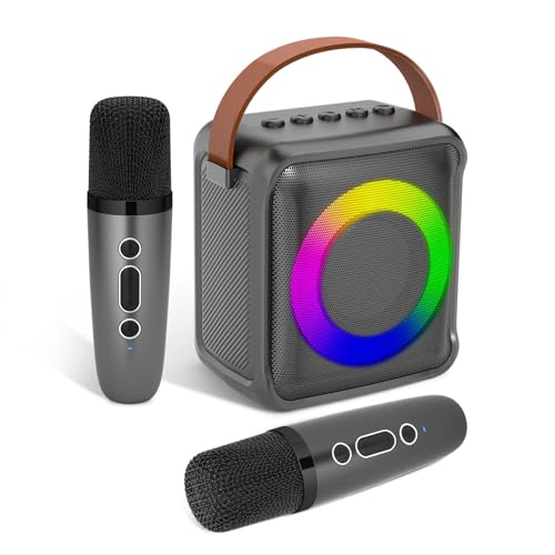 Ankuka Karaoke-Spielzeug für Kinder & Erwachsene mit 2 Mikrofonen, tragbare Karaoke-Maschine mit LED-Licht und Sprachveränderungseffekten, Geschenke für Alter 3-18 Kinder, Jungen, Mädchen(sliber)