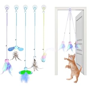 5pc cat Toys Indoor Hanging Door Retractable Bird cat Toys cat Fun Exercise Interactive Rope Feather cat Toys Hunting Chase
