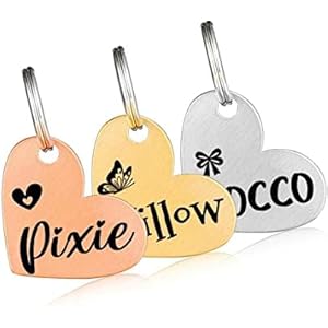 LUIGI Stainless Steel Pet ID Tag, Personalized Dog Name Tags, Customized Cat Tags, Deep Laser Engraving, Optional Engraved on Both Sides, Various Design Options (Medium, Heart)
