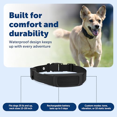 PetSafe Guardian GPS Dog Fence No Subscription Create Your Own Wireless Dog Fence Single-Yard Fence for Yards 3/4 Acres or Larger World's Safest GPS Dog Fence Tech New, Redesigned Collar by PetSafe - Image 5