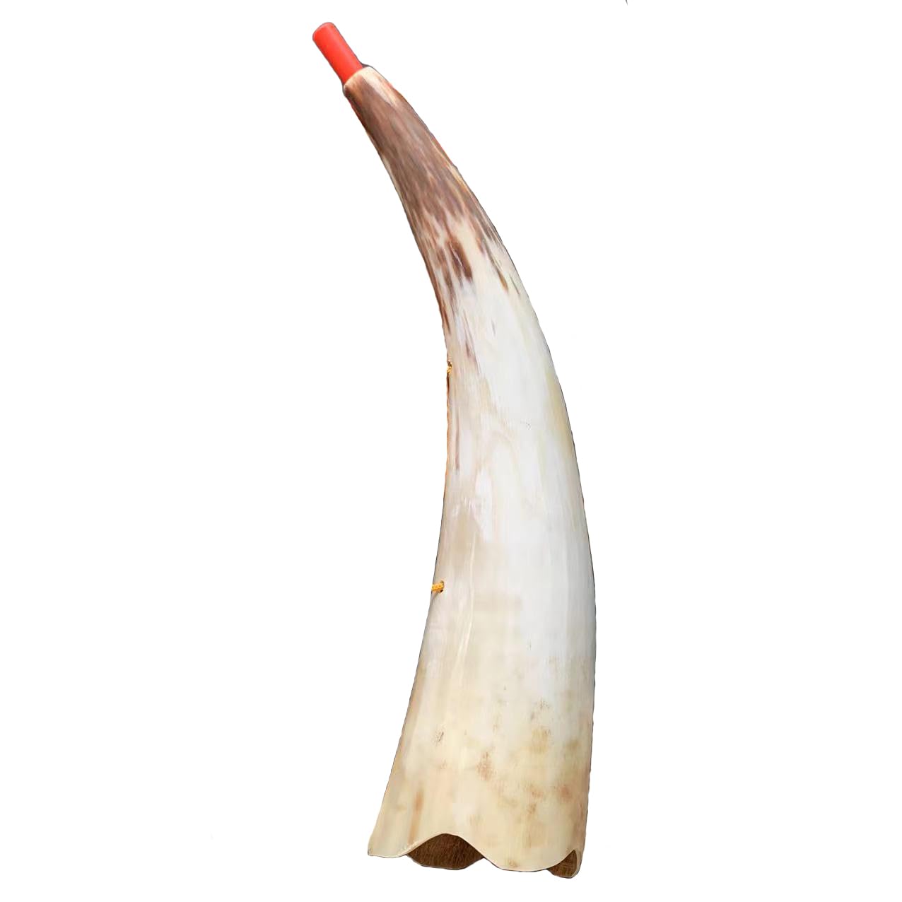 Viking Horn Trumpet Sounding Horn Viking Instrument for Birthday Halloween Christmas Holiday Party Favors (30cm,1Pcs)