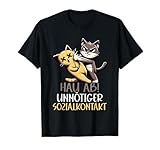 Katze Tier Lustiger Sarkasmus Sarkastische Sprüche