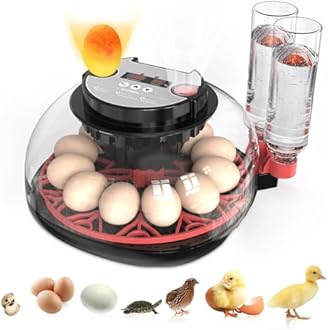 SylvanSparkKitchen Incubators for Hatching Eggs Automatic Egg Incubator with Temperature Control Humidity Display 12 Egg Capacity for Chicken Duck Goose Eggs Digital Display Auto Turner 360° View
