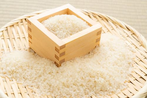 ななつぼし5kg 白米」の人気商品一覧・価格比較 - 価格.com