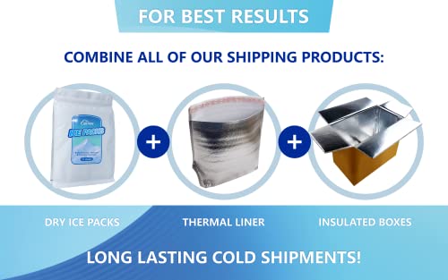 Thermo Chill Double Insulated Shipping Box With Dry Ice Packs For Shipping Frozen Food, Perishables, Breast Milk, Meat, Chocolate, Fish, Candles, Long Lasting For Cold Shipping #TOP6