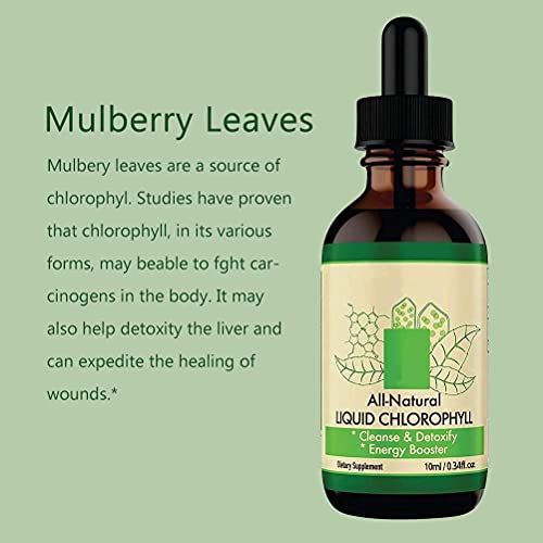 Suplementos de clorofila à base de plantas, gotas líquidas de clorofila, concentrado totalmente natu