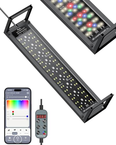 best low tech aquarium light