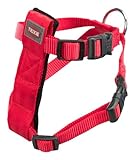 Gurt und Gürtel Sicherheit Katzen, 20 – 50 cm, Rot