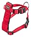 Gurt und Gürtel Sicherheit Katzen, 20 – 50 cm, Rot