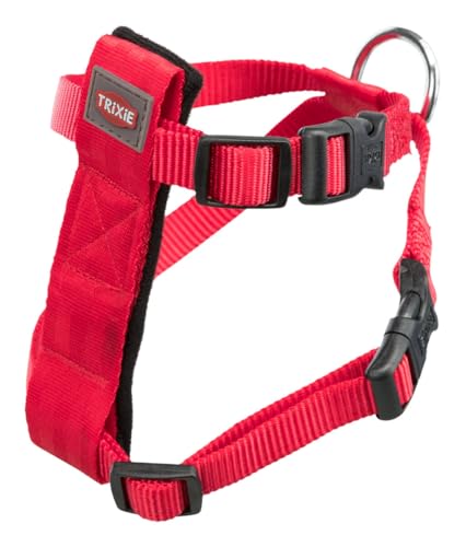 Gurt und Gürtel Sicherheit Katzen, 20 – 50 cm, Rot
