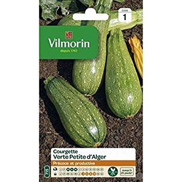 Vilmorin Bolsa Semillas Calabacín Argel Verde
