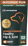 VetriScience Laboratories GlycoFlex Plus, Hip and Joint Supplement for Dogs, 120 Bite-Sized Chews