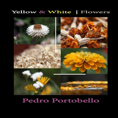 Yellow & White | Flowers: Photo Album