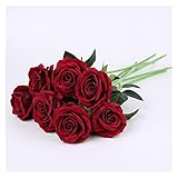 Lassen Sie die Freude am Entspannen im idealen Zuhause erleben.