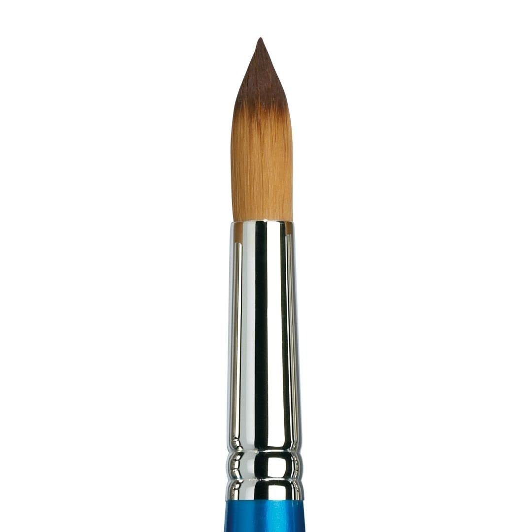 Winsor & Newton Cotman Watercolour Blended Synthetic Bristle Brush - Series 111 - Round - Short Handle - Size - 19, Thin & Thick Fibres for Colour Carrying Capacity, Perfect Point, Strength & Spring