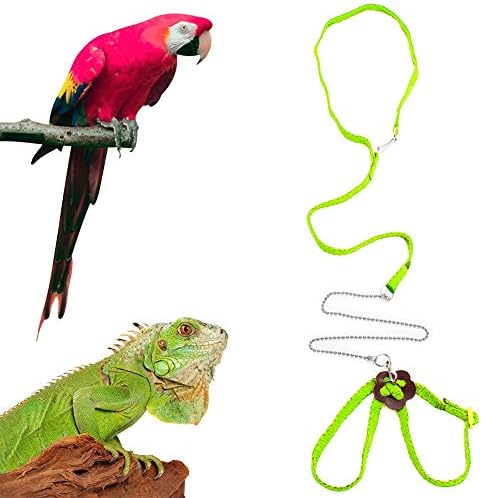bearded dragon leash amazon
