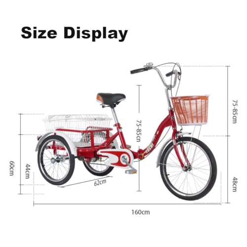 Bicicleta Carga 20 Pulgadas para Adultos con Canasto miniatura 7