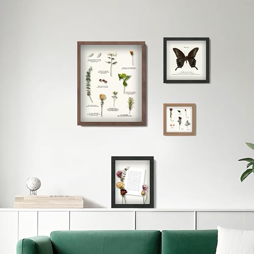 FrameWorks 8x8 Driftwood Wooden Shadow Box Frame – Soft Felt Back, Tempered Glass, and Included Elegant White Ball Push Pins - Thumbnail 5