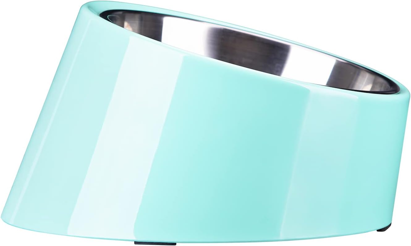 SuperDesign Mess Free 15° Slanted Bowl for Dogs and Cats, Tilted Angle Bulldog Bowl Dog Feeder, Non-skid & Non-spill, Easier to Reach Food L/2 Cup Teal