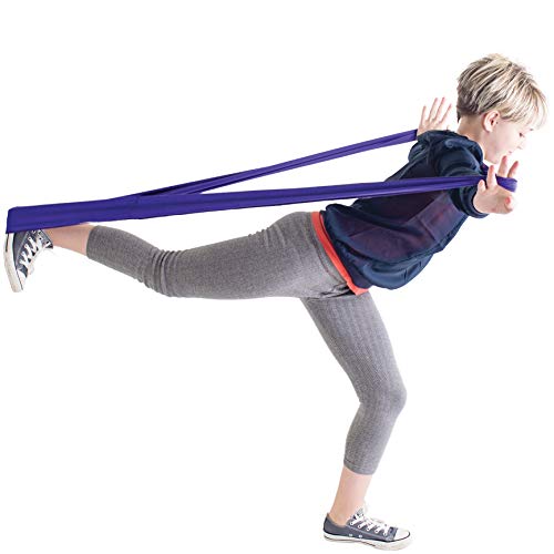Fun And Function's Stretch Bands For Resistance Exercise And Sensory Stimulation, Encourages Active Movement And Heavy Work For Use At Home, School, Or In The Clinic - Purple Size Large 53" X 6" #TOP3
