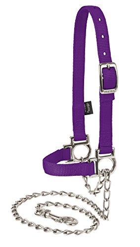 Cabestro de oveja ajustable con correa de cadena Purple Jazz talla mediana