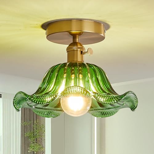 Surpars House Ceiling Light, 1-Light Chandelier, Flush Mount Lighting Fittings