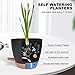 Vanslogreen Plant Pots Pack of 5, 7/6.5/6/5.5/5 Inch Self Watering Planters with Drainage Hole Planter for Indoor Plants, Planting Pots for African Violet, Ochid and House Plants (Black)