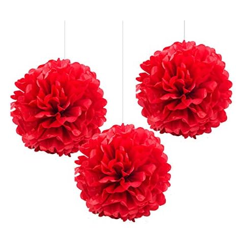 AimtoHome Red Tissue Paper Pom Poms, 12in Paper Flower Balls Hanging Party Decorations, Pack of 12 Cover