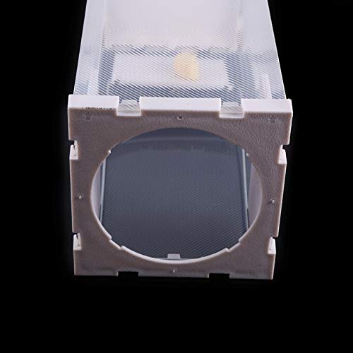 Humane rattenval, muizen Knaagdieren Kooi Levend dier Humane valvangst Ongedierte Knaagdieren Muizen Muiscontrole Aas… - Image 4