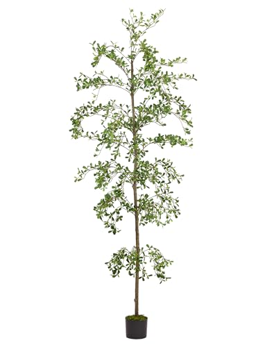 Shady Lady Faux Tree 7ft for Home Dcor Black Olive Tree 84inches Realistic Fake Potted Plants with Moss Indoor Bucida Buceras Artificial Tall Trees with Natural Wood Trunk Housewarming Outdoor