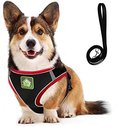 FEimaX Dog Harness and Leash Set for Small Medium Dog Cat No Pull Adjustable Soft Mesh Chihuahua Chest Harness Puppy Reflective Step-in Safety Vest for Outdoor Walking