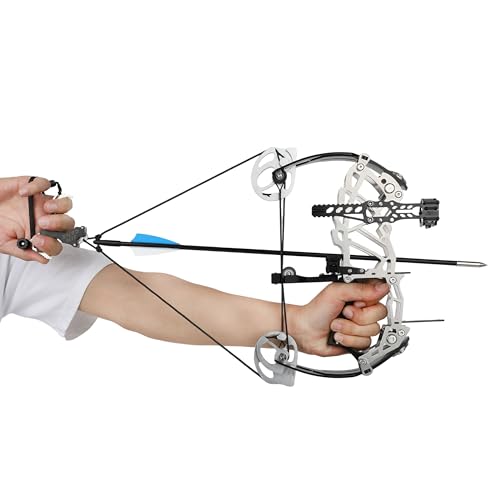 13Inch Compound Bow & Arrow Set for Adults Youth - 15-32 LB Adjustable Draw Weight, No Bow Press Needed (Style 2)