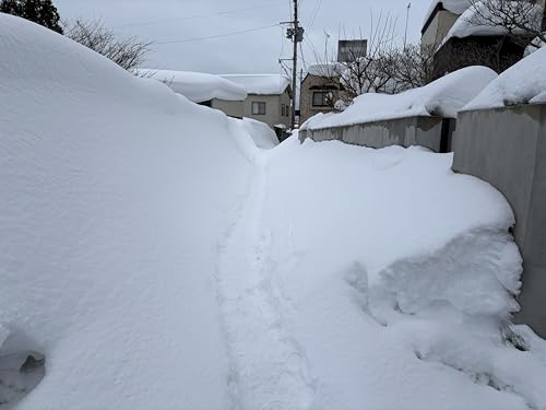 [災害支援返礼品なし] 令和8年1月 豪雪被害緊急支援寄付 青森県五所川原市 1,000円