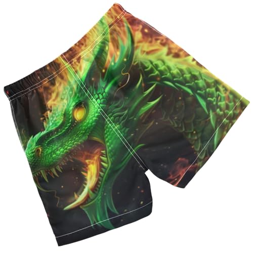 Pigsaly Boys Swim Trunks Green Fire Head of Dragon Boys Board Shorts Swimsuit Swimwear Summer Bathing Suit XS2