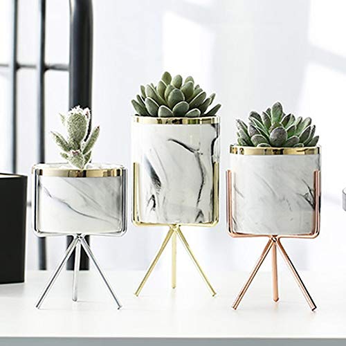 Vase céramique rose L pour valoriser une plante verte et égayer une table de salon vide