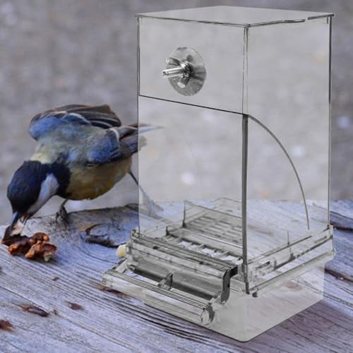 Jaula de gran capacidad contra el desperdicio de comida para loros y ninfas 4