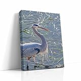 Great Blue Heron Art Wildlife Photography | Nature Wall Decor for Bird Lovers, Ocean Conservation, Relaxing Office or Room Artwork (Paper Print, 8x10 inches)