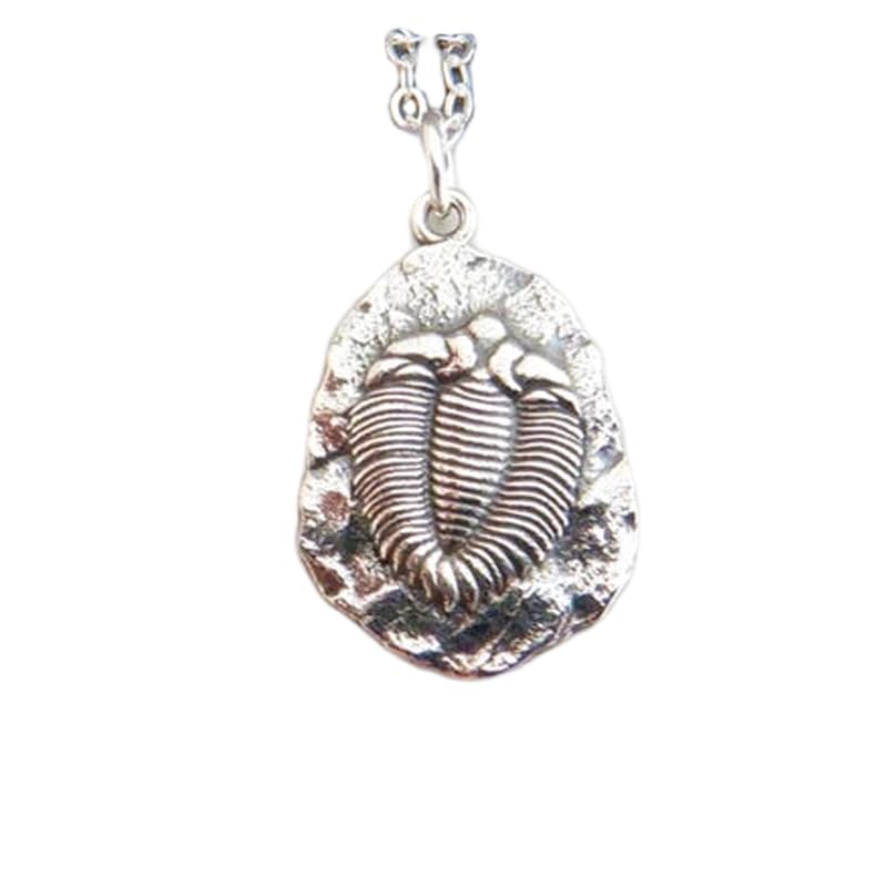 Collar de trilobites y colgante de vida marina antigua con cadena de plata 45cm