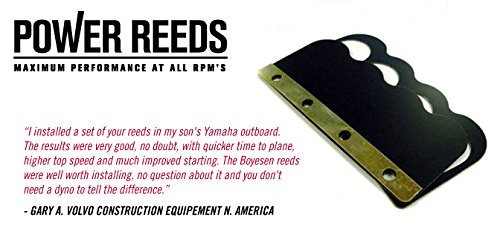 Ski Doo Snowmobile Power Reed Kit 800 MXZ 2001-2003 Boyesen 557