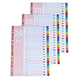 Utilisation à long terme : les intercalaires sont fabriqués dans un matériau robuste qui garantit une utilisation à long terme. Vos documents restent ainsi protégés et bien organisés, sans que vous ayez à vous soucier des dommages ou de l'usure.